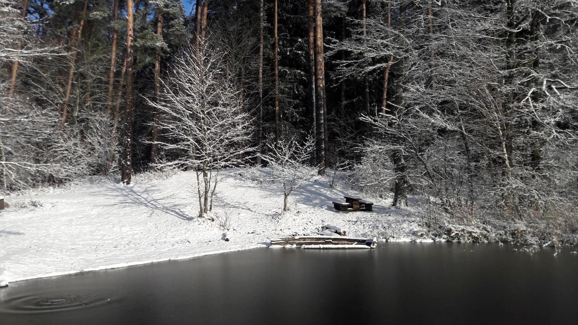 Apartamenty Jezioro I Las Mazury Powalczyn Экстерьер фото