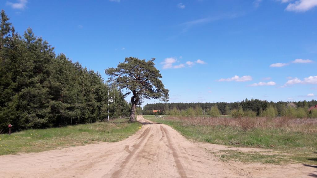 Apartamenty Jezioro I Las Mazury Powalczyn Экстерьер фото